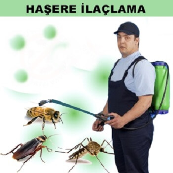 Boğazkale Böcek İlaçlama